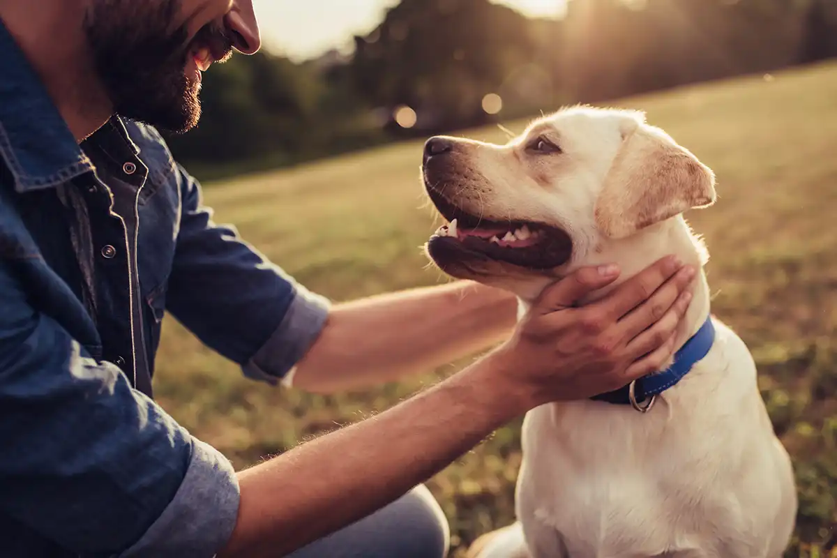 Dog owner spending time with his dog outdoors